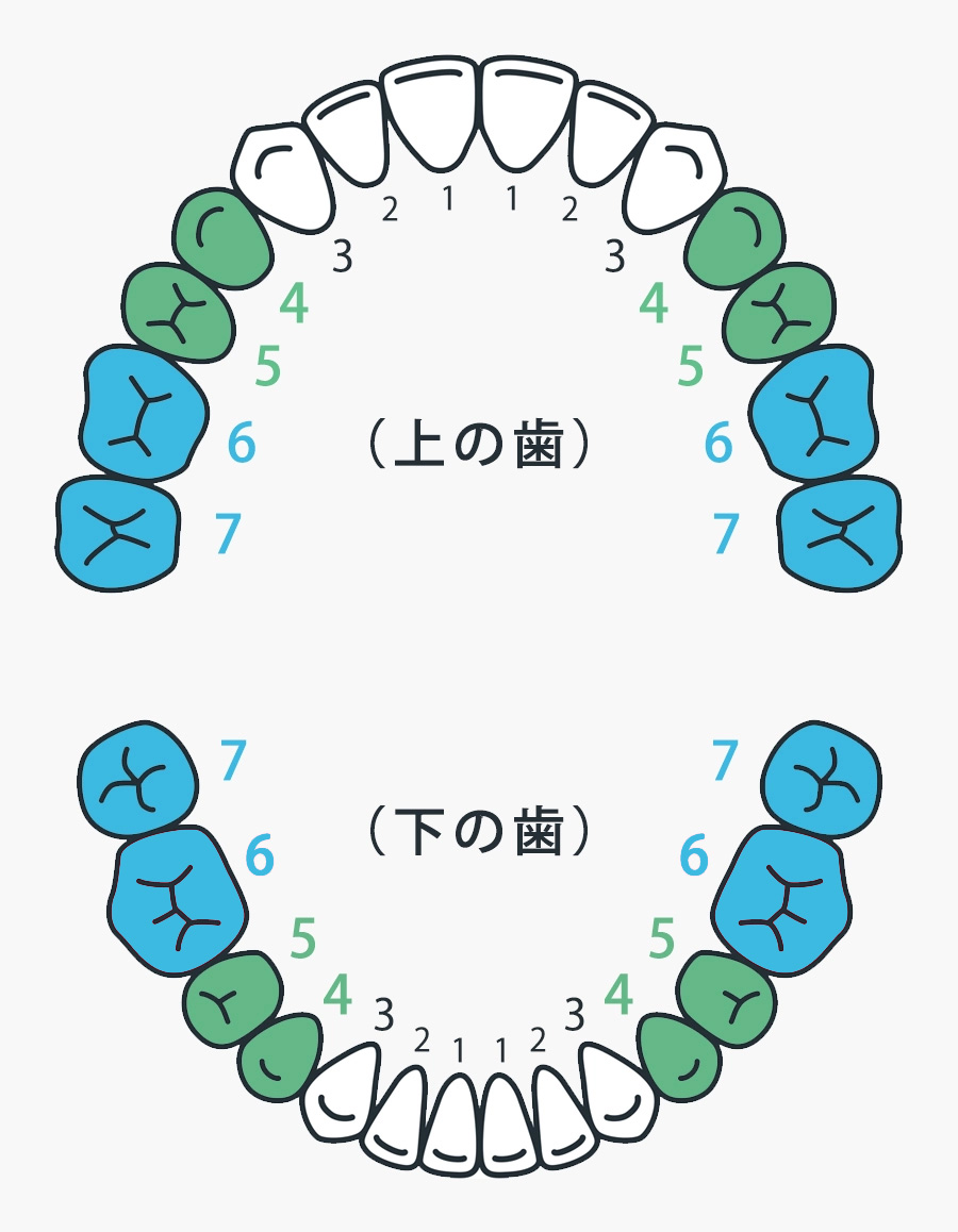 CAD/CAM冠のご案内